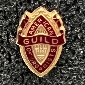 Standard AGO Lapel Pin